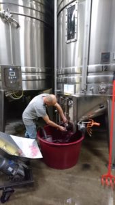 décuvage - Domaine Gilles ROBIN